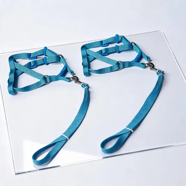 Blue_Nylon_Adjustable_Single_Collar_Set_For_Dogs_-_Pack_of_2