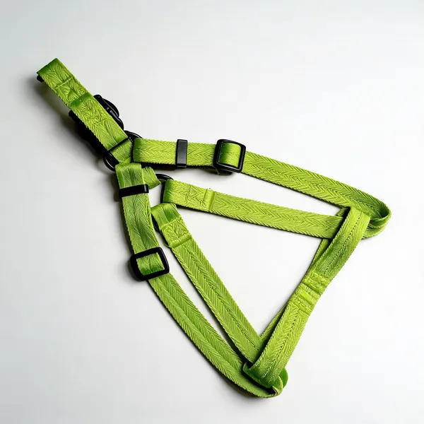 Green_Nylon_Adjustable_Dog_Harness_Set