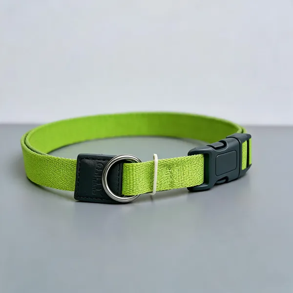 Nylon_Soft_Padded_Adjustable_Collar_With_D-Ring_For_Dogs_And_Cats_Green_-_Pack_of_2
