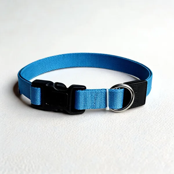 Blue_Nylon_Adjustable_Buckle_Dog_And_Cat_Collar