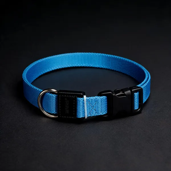 Blue_Nylon_Adjustable_Buckle_Dog_And_Cat_Collar