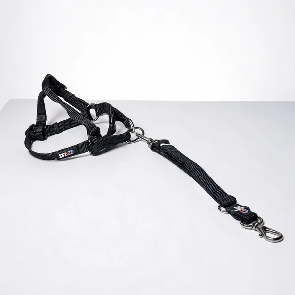 Black_Soft_Padded_Nylon_Dog_Harness_And_Leash_Set