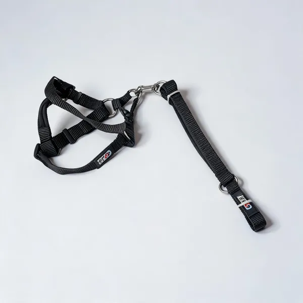 Black_Soft_Padded_Nylon_Dog_Harness_And_Leash_Set