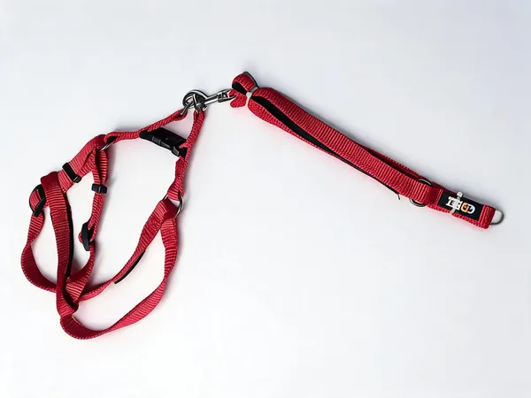 Red_Striped_Nylon_Dog_Harness_And_Lead_Set