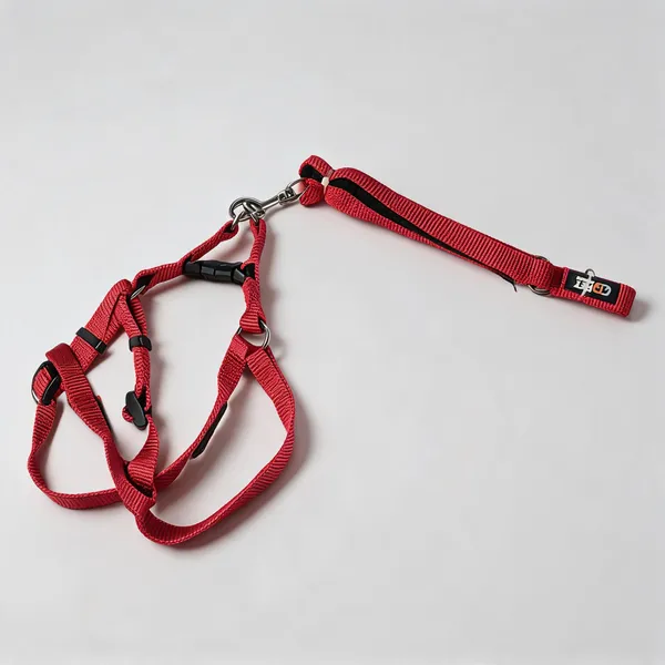 Red_Striped_Nylon_Dog_Harness_And_Lead_Set