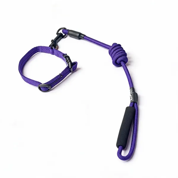 Purple_Braided_Nylon_Rope_Dog_Collar_And_Leash_Set