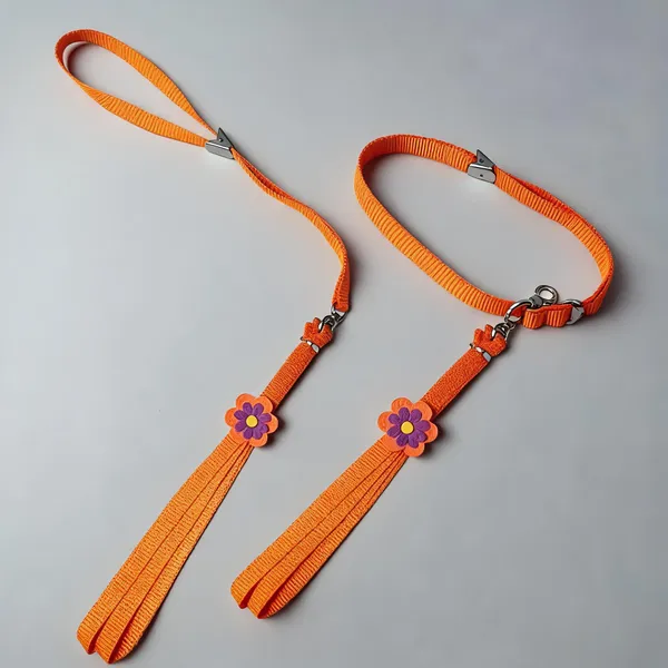 Orange_Nylon_Sunflower_Collar_Set_For_Dogs_-_Pack_of_2