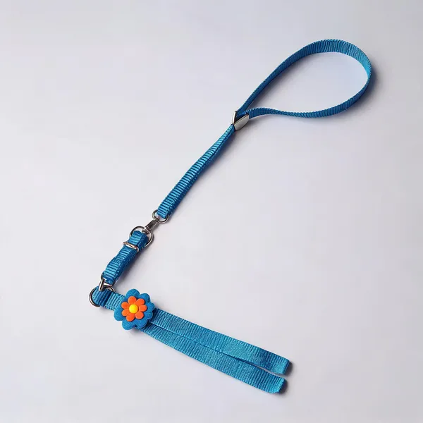 Nylon_Sunflower_Collar_And_Leash_Set_For_Dogs_Blue_-_Pack_of_2