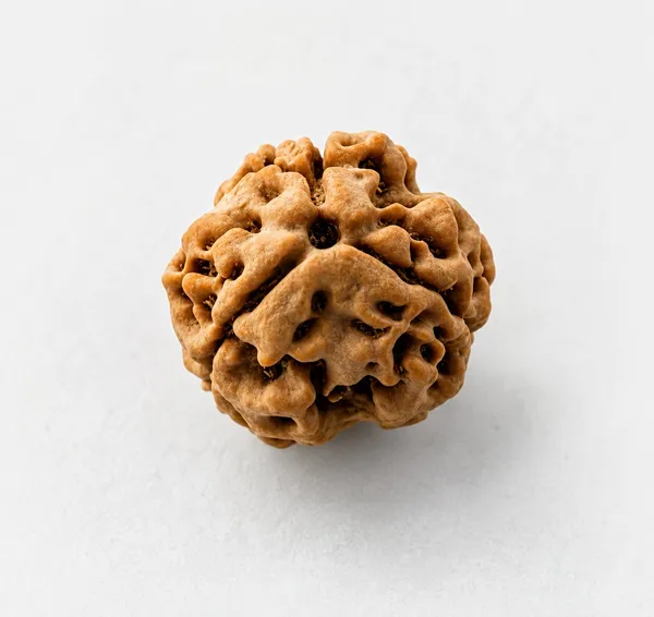 Nepali_Natural_3_Mukhi_Rudraksha_Bead_For_Prayer