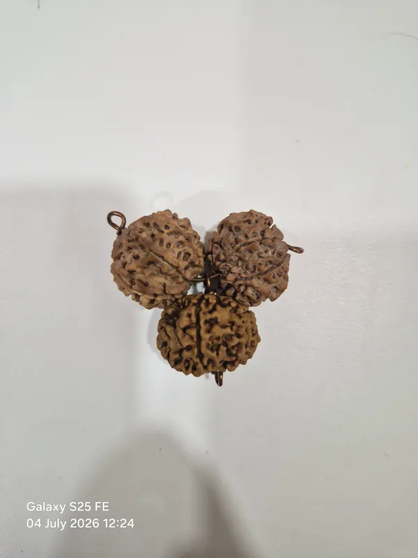 Brown_Rudraksha_Vyapar_Kawach_Pendant_For_Unisex