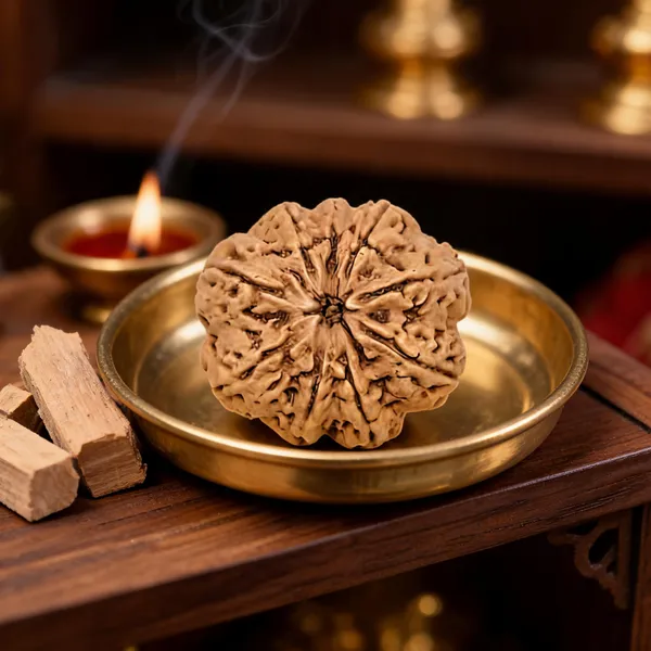 Nepali_Natural_9_Mukhi_Rudraksha_Bead_For_Prayer
