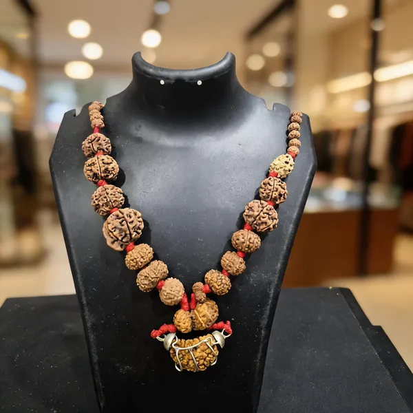 Brown_Natural_Rudraksha_1_To_14_Mukhi_Kantha_Necklace_For_Men_&_Women