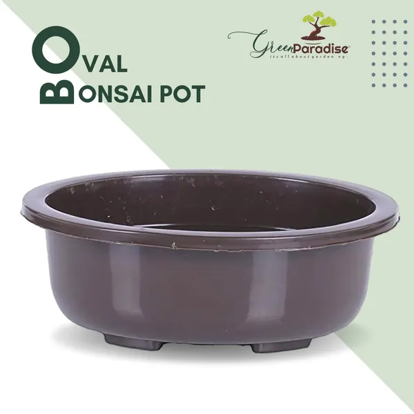 Green_Paradise_Bonsai_Pots_5_5_Oval_Pack_Of_5_Suitable_For_Small_Bonsai_Succulents_Adeniums_And_Cactus_Default_Title