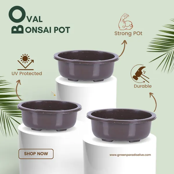 Green_Paradise_Bonsai_Pots_5_5_Oval_Pack_Of_5_Suitable_For_Small_Bonsai_Succulents_Adeniums_And_Cactus_Default_Title
