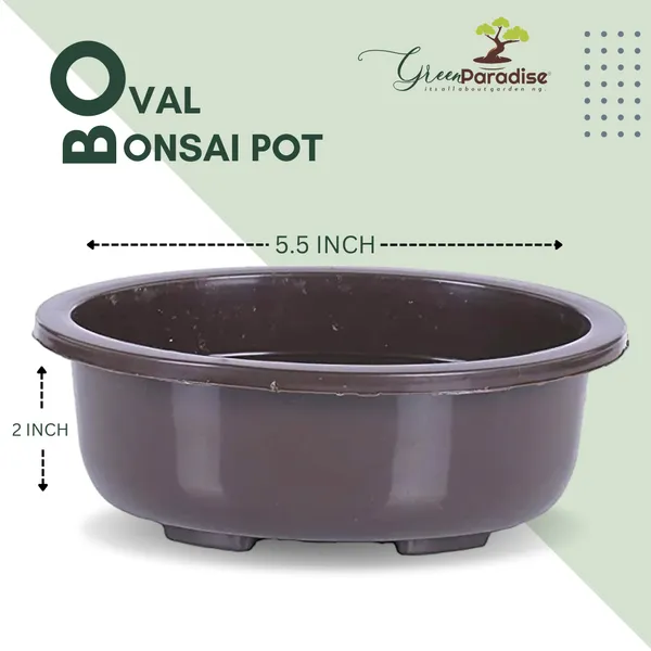 Green_Paradise_Bonsai_Pots_5_5_Oval_Pack_Of_5_Suitable_For_Small_Bonsai_Succulents_Adeniums_And_Cactus_Default_Title