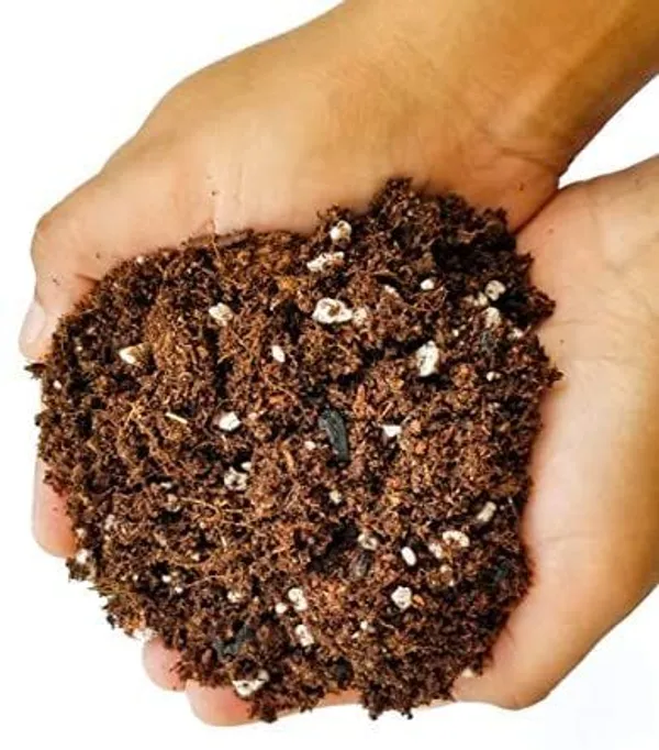 Ready_To_Use_Soil_Mix_Containing_Coco_Peat_Perlite_Vermiculite_Expanded_Clay_Balls_And_Neem_Powder_10_Kg_Pack_Multi_Purpose_Soil_Mix_Suitable_For_All_Plants_Default_Title