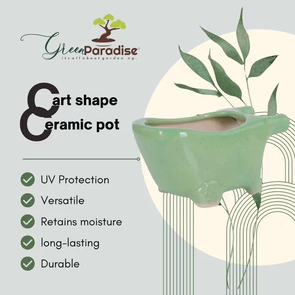 Green_Paradise_Cart_Shape_Beautiful_Ceramic_Pot_Black_Green_Default_Title