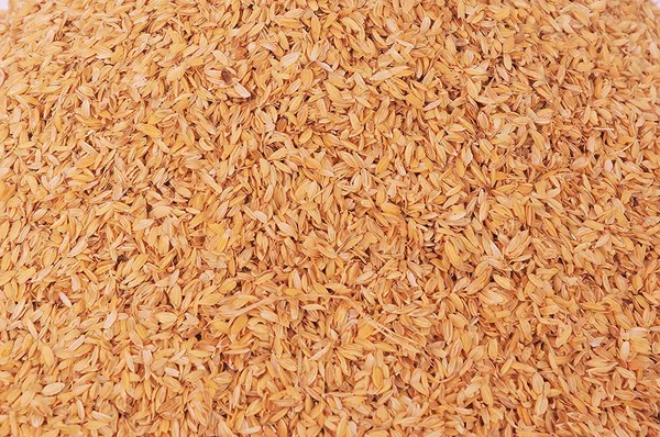 Rice_Hulls_Paddy_Husk_1_Kg_Yellow_Default_Title
