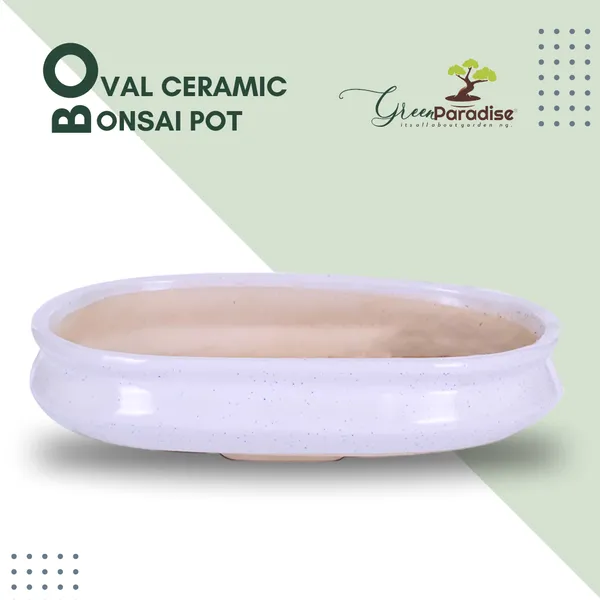 Green_Paradise_White_Ceramic_Pot_Size_12_Oval_Shape_For_Bonsai_Trees_Succulents_Fairy_Gardens_And_Miniature_Gardens_Bonsai_Planter_Default_Title