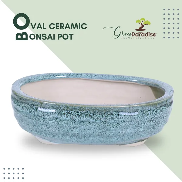Green_Paradise_Ceramic_Pot_Size_10_Oval_Shape_For_Bonsai_Trees_Succulents_Fairy_Gardens_And_Miniature_Gardens_Bonsai_Planter_Default_Title