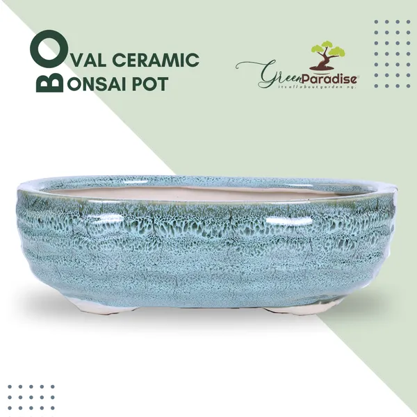 Green_Paradise_Ceramic_Pot_Size_10_Oval_Shape_For_Bonsai_Trees_Succulents_Fairy_Gardens_And_Miniature_Gardens_Bonsai_Planter_Default_Title