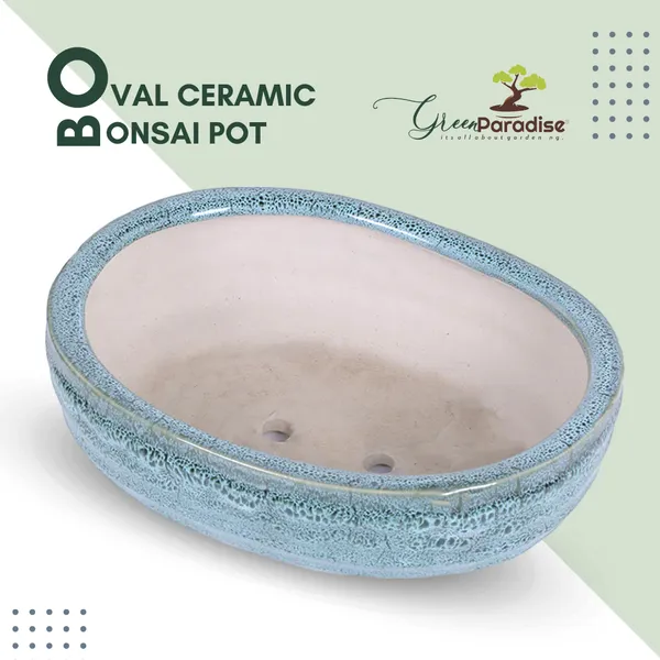 Green_Paradise_Ceramic_Pot_Size_10_Oval_Shape_For_Bonsai_Trees_Succulents_Fairy_Gardens_And_Miniature_Gardens_Bonsai_Planter_Default_Title