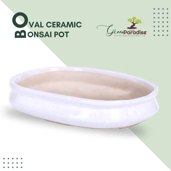 Green_Paradise_Ceramic_Pot_Size_14_Oval_Shape_For_Bonsai_Trees_Succulents_Fairy_Gardens_And_Miniature_Gardens_Bonsai_Planter_Default_Title