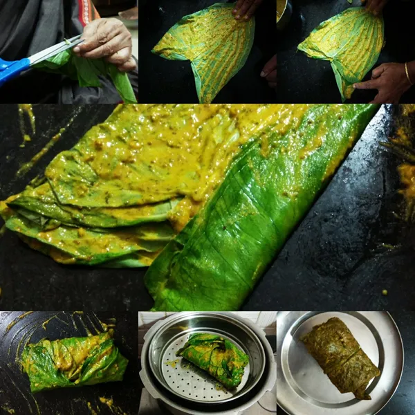 Patarveliya_Colocasia_Esculenta_Plant_Default_Title