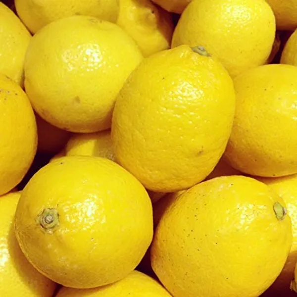 Sharbati_Lemon_F1_Quality_Seeds_Pack_Of_10_Seeds_Default_Title