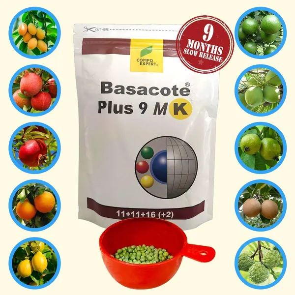 Slow_Release_Fertilizer_250g_Pack_9_Months_Slow_Release_Npk_Fertilizer_11_11_16_Micronutrients_For_Bonsai_And_Other_Garden_Plants_250g_Pack_Once_Applied_No_Need_To_Give_Any_Fertilizer_For_Next_9_Months_Default_Title