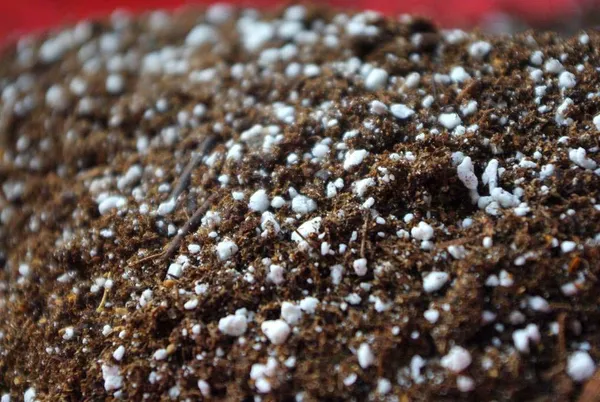 Perlite_For_Hydroponics_Horticulture_Terrace_Gardening_Soil_900_Grms_Pack_Conditioner_Healthy_Root_Growth_Retains_Moisture_Allows_Aeration_Default_Title