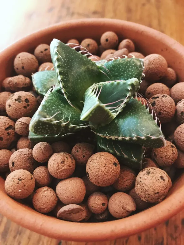 Green_Paradise_Expanded_Clay_Balls_3_Litres_Clay_Balls_Hydrotons_Lightweight_Expanded_Clay_Aggregate_Leca_For_Hydroponics_Aeroponics_Aquaponics_Size_8_15mm_Default_Title