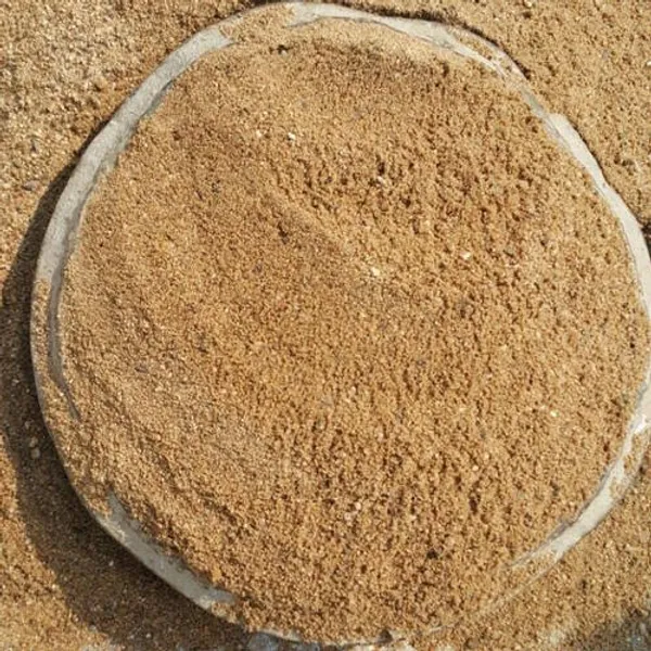 Natural_River_Sand_White_Sand_5_Kg_Used_To_Make_Ideal_Soilmix_For_Bonsai_Cactus_And_Succulents_Also_For_Aquariums_Terrariums_Mini_Landscapes_And_Fairygarden_5_Kg_Default_Title