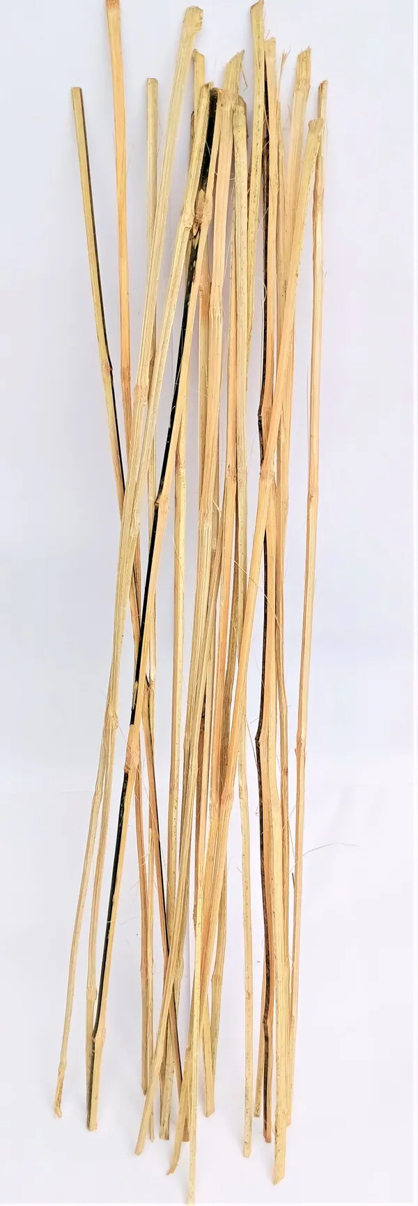 Bamboo_Sticks_For_Plants_Support_Set_Of_20_Sticks_Size_3ft_Used_To_Support_Climbers_Money_Plant_Other_Saplings_Default_Title