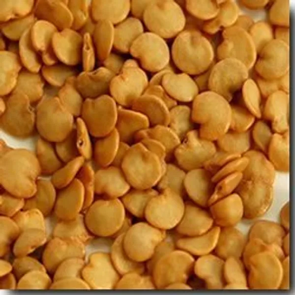Green_Paradise_Brinjal_Seeds_Default_Title