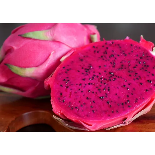 Sweetest_Dragon_Fruit_Ever_Plants_Red_Default_Title
