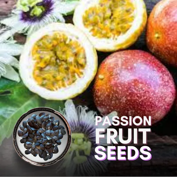 Passion_Fruit_Seeds_Exotic_And_Rare_Sweet_Red_Passion_Fruit_Seeds_Pack_Of_10_Seeds_Default_Title