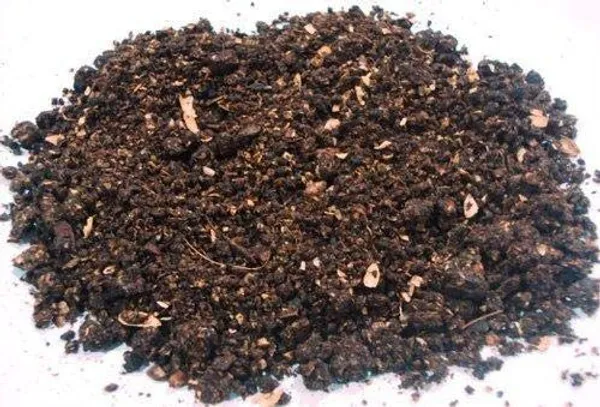 Neem_Cake_Organic_Fertilizer_Manure_5_Kg_For_Best_Growth_And_Pest_Repellent_5_Kg_Default_Title