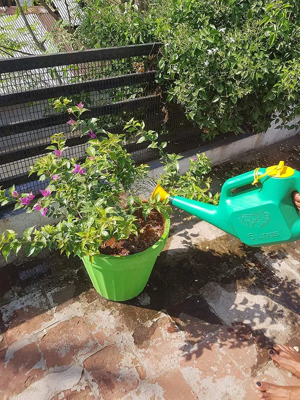 Watering_Can_5_Liter_For_Smooth_Water_And_Shower_Plants_Default_Title