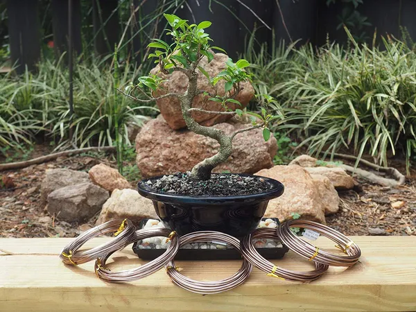 Bonsai_Training_Aluminum_Wires_1000g_Size_2mm_Default_Title
