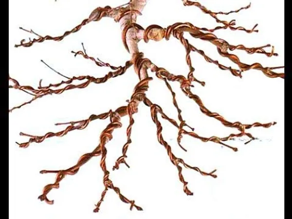 Bonsai_Training_Wire_3_Size_Starter_Set_150_Feet_Anodized_Aluminium_1mm_1_5_Mm_2_0_Mm_Each_50_Ft_Copper_Color_Default_Title