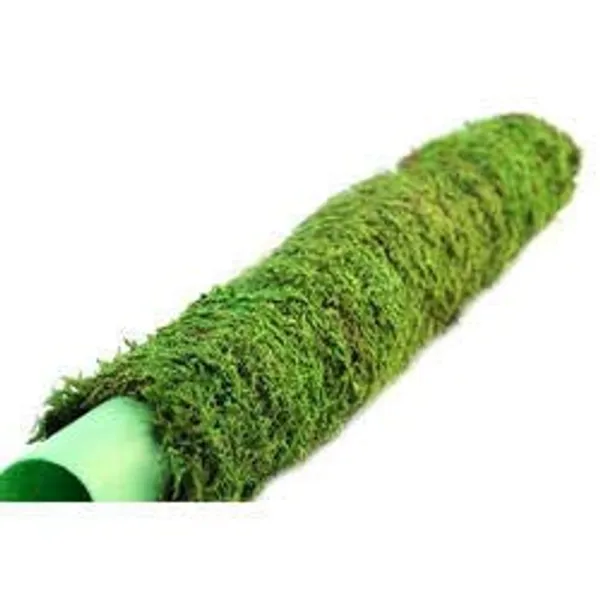 Moss_Stick_For_Climbing_House_Plants_2ft_Default_Title