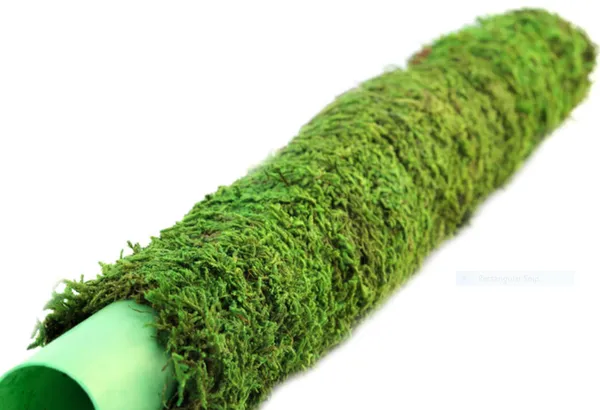 Moss_And_Coir_Stick_Plant_Support_120_Cm_4ft_Brown_2_Pieces_Default_Title