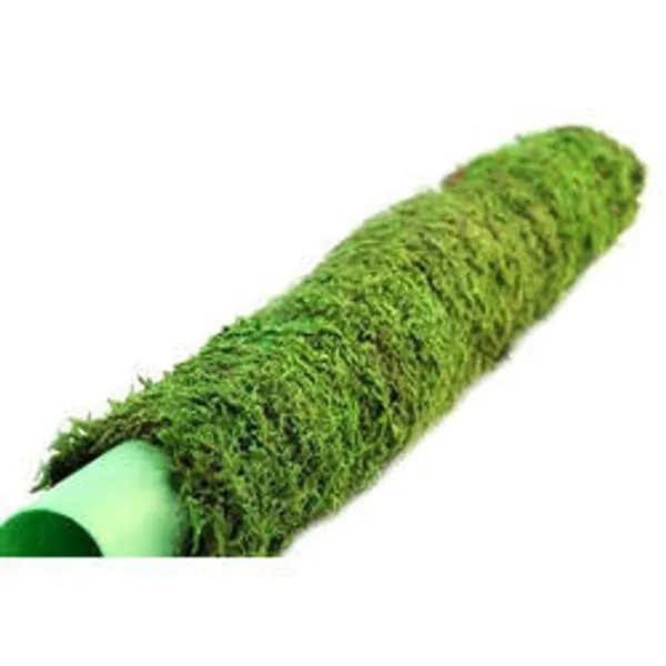 Moss_Stick_For_Indoor_House_And_Plant_Creepers_Support_Brown_3_Ft_2_Pieces_Default_Title