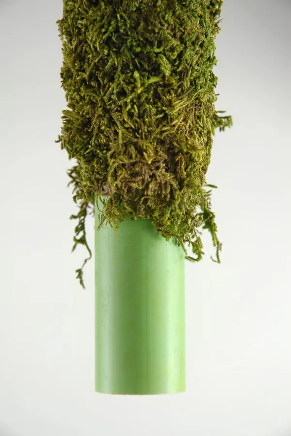 Moss_Stick_For_Indoor_House_And_Plant_Creepers_Support_Brown_3_Ft_2_Pieces_Default_Title