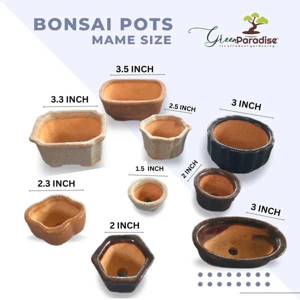 Green_Paradise_Ceramic_Mame_Bonsai_Pots_Set_Of_3_Random_Sizes_Default_Title