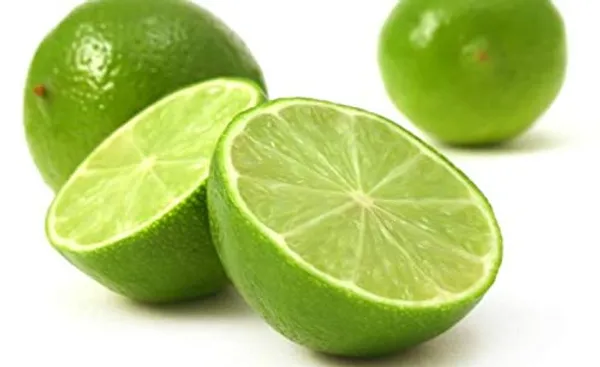 Green_Paradise_Kagazi_Lemon_Original_F1_Seeds_Default_Title