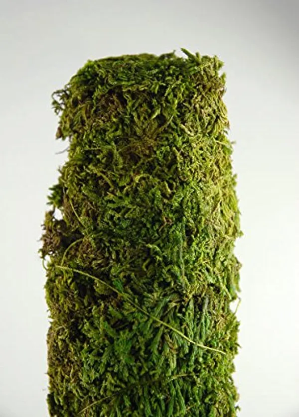 Sphagnum_Moss_For_Orchid_Plant_Soil_Air_Layering_And_Mulching_250g_Green_And_Brown_Default_Title