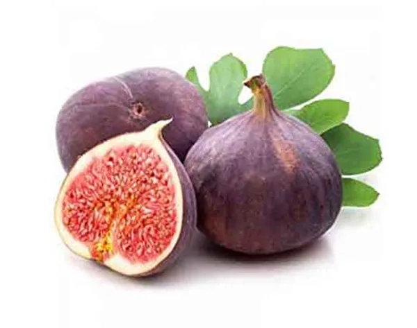 Sweet_Fig_Live_Plant_Anjeer_Plant_Default_Title