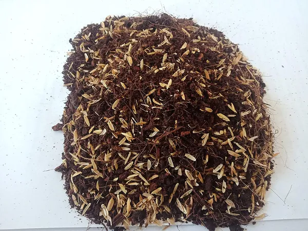 Coco_Peat_Mix_With_Rice_Hulls_Media_Pack_Of_3_Kg_Default_Title
